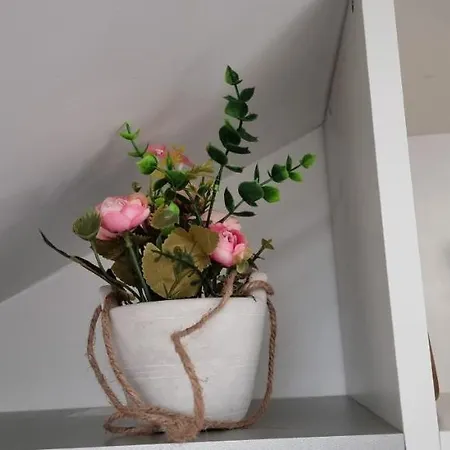 My Apartment *